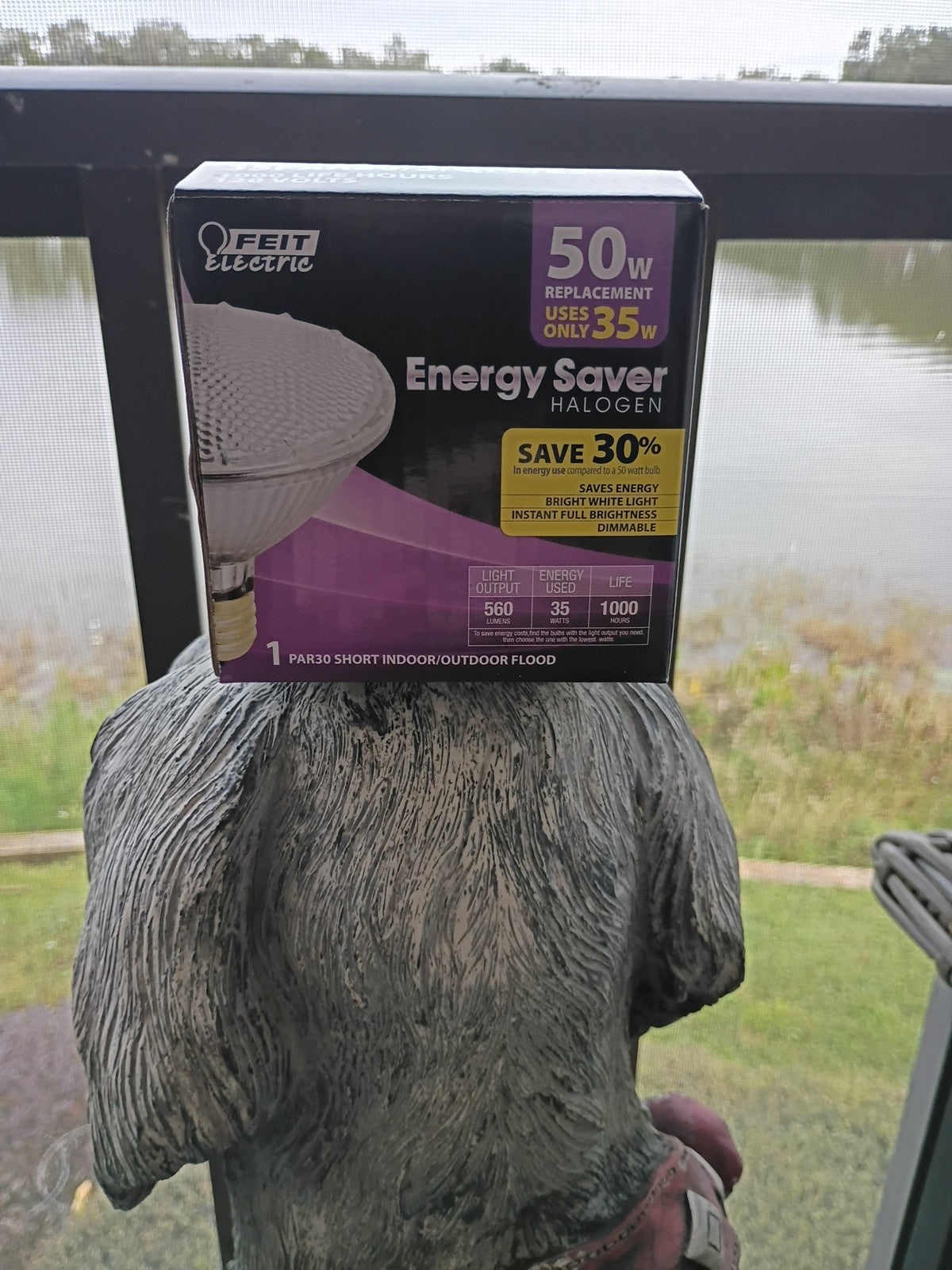 FEIT Electric 50w Replacement PAR20 Bulb 500 Lumens